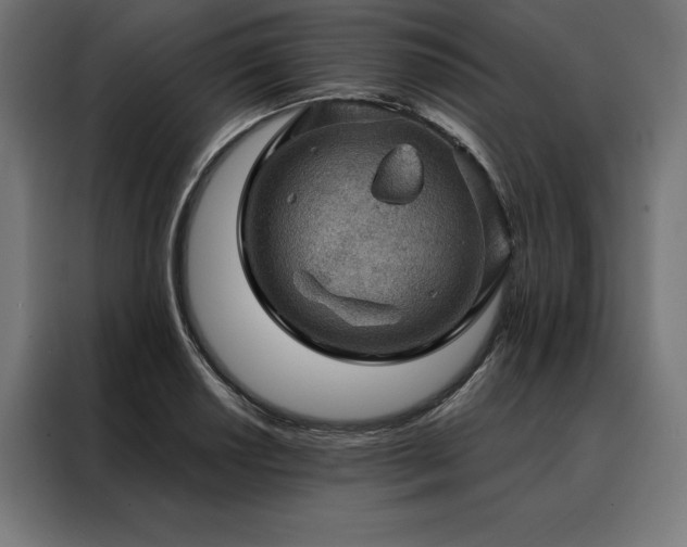 X0000088161034200705221556