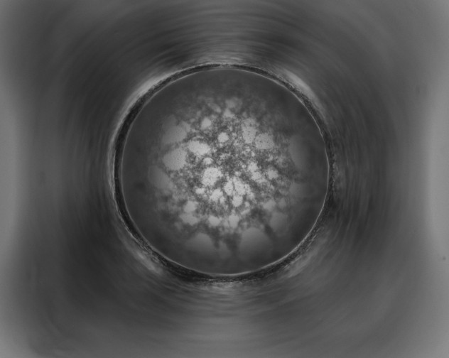 X0000088161035200705221556