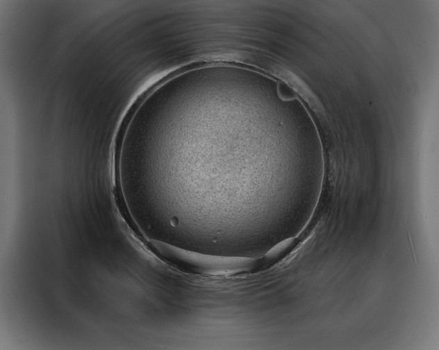 X0000088161036200705221557