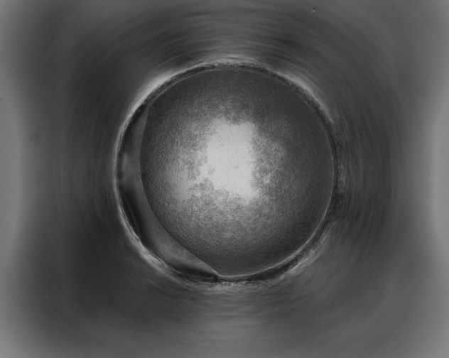 X0000088161038200705221557