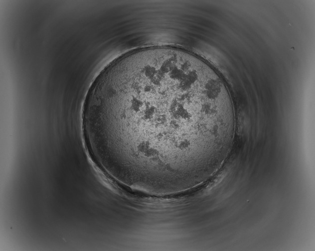 X0000088161039200705221557