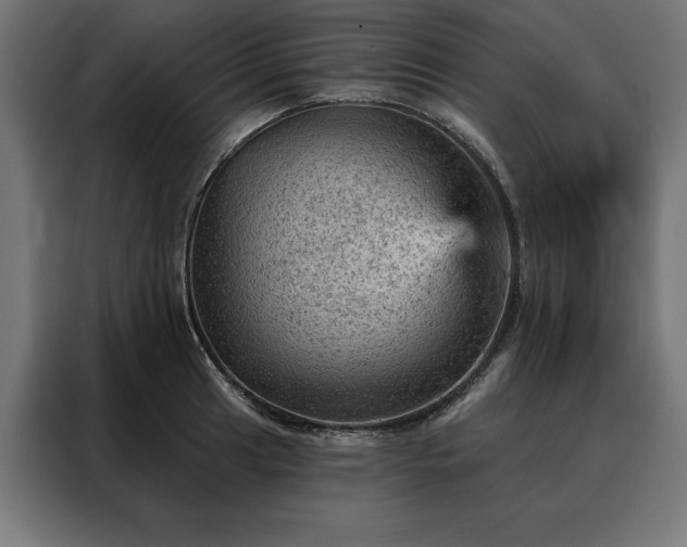 X0000088161041200705221557