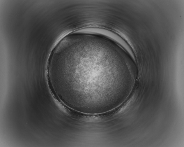 X0000088161042200705221557