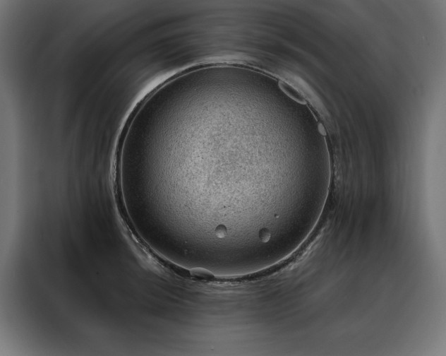 X0000088161044200705221557