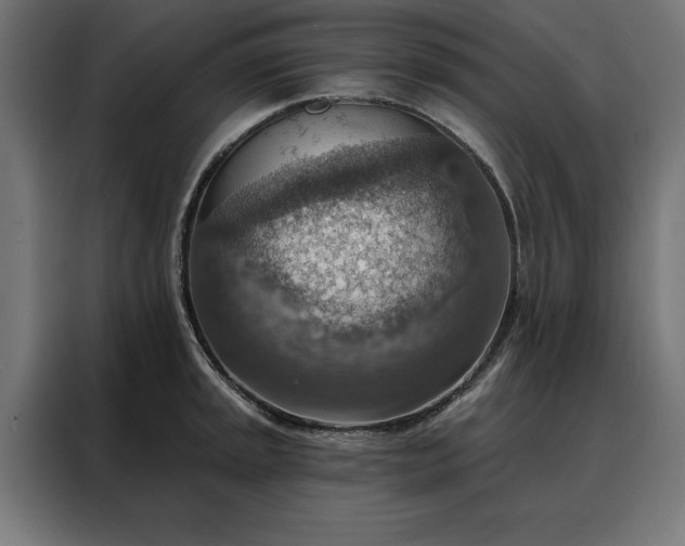 X0000088161045200705221557