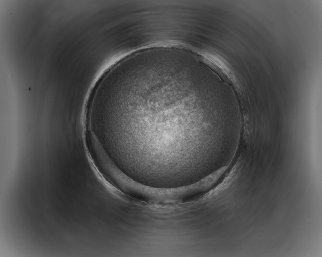 X0000088161046200705221557