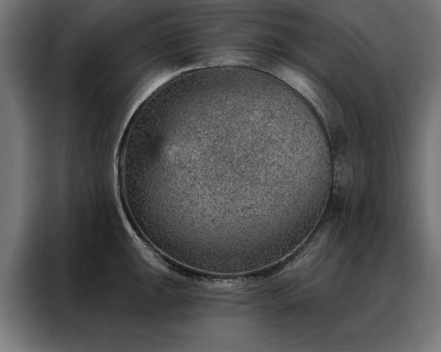 X0000088161047200705221557
