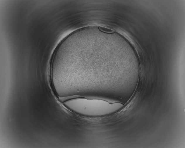 X0000088161048200705221557