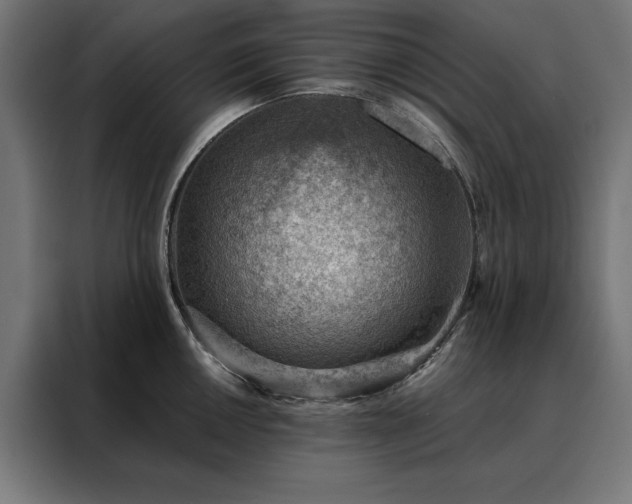 X0000088161050200705221557