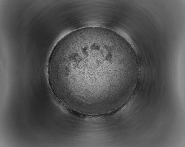 X0000088161051200705221557