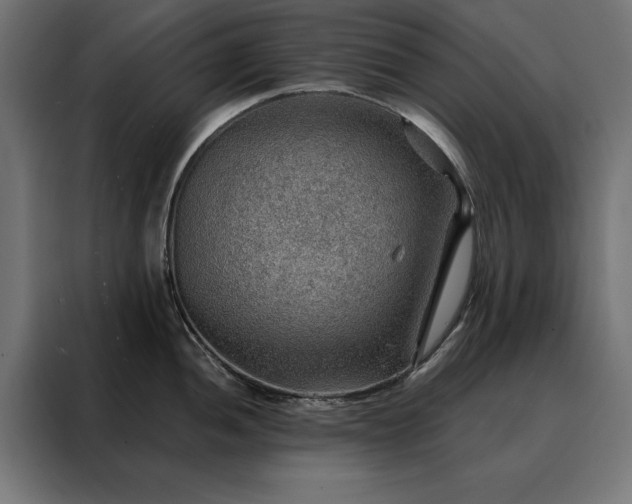 X0000088161052200705221557
