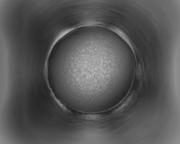 X0000088161053200705221557