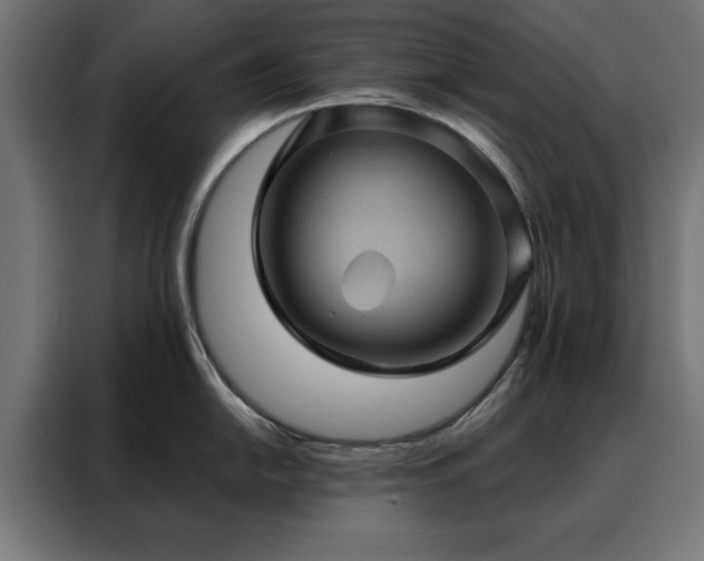 X0000088161054200705221557
