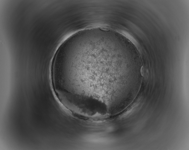 X0000088161055200705221557