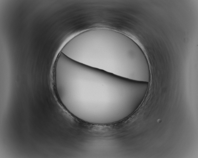X0000088161056200705221557