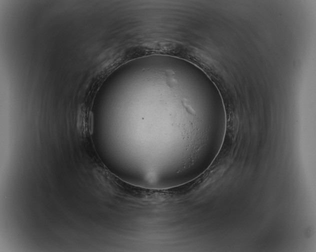 X0000088161058200705221556