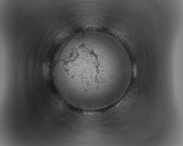 X0000088161059200705221556