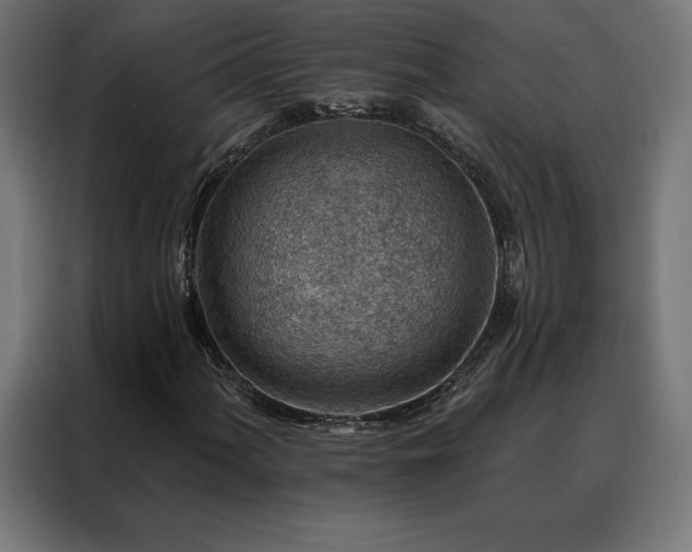 X0000088161060200705221556