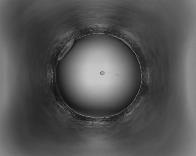 X0000088161061200705221556