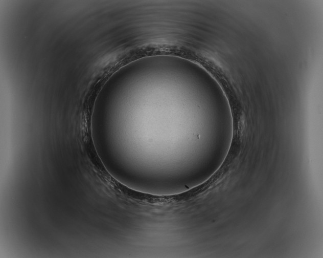 X0000088161062200705221556
