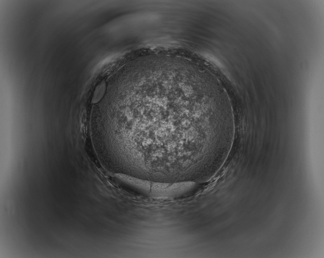 X0000088161063200705221556
