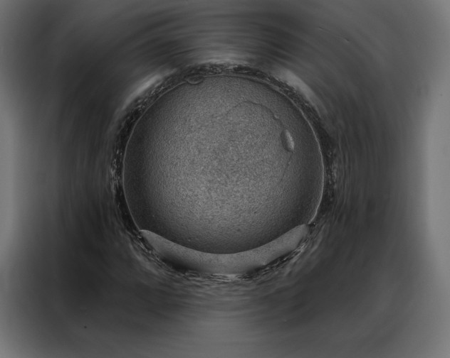 X0000088161064200705221556