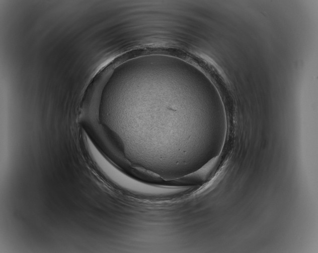 X0000088161065200705221556