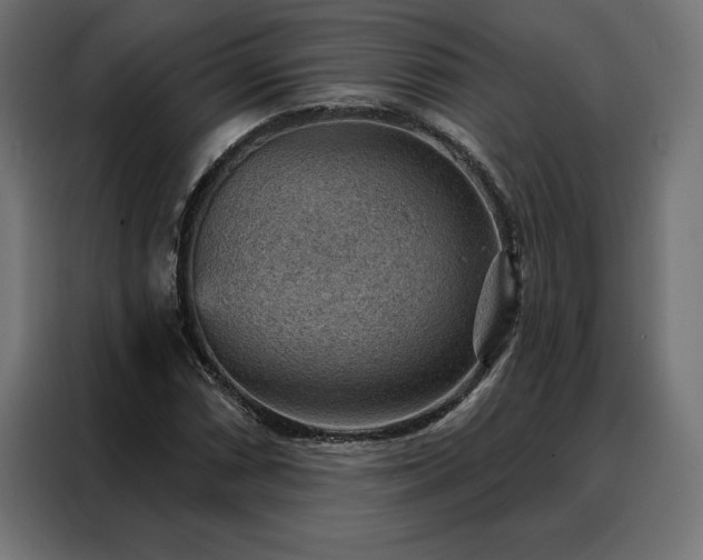 X0000088161066200705221556