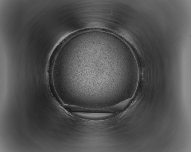 X0000088161068200705221556
