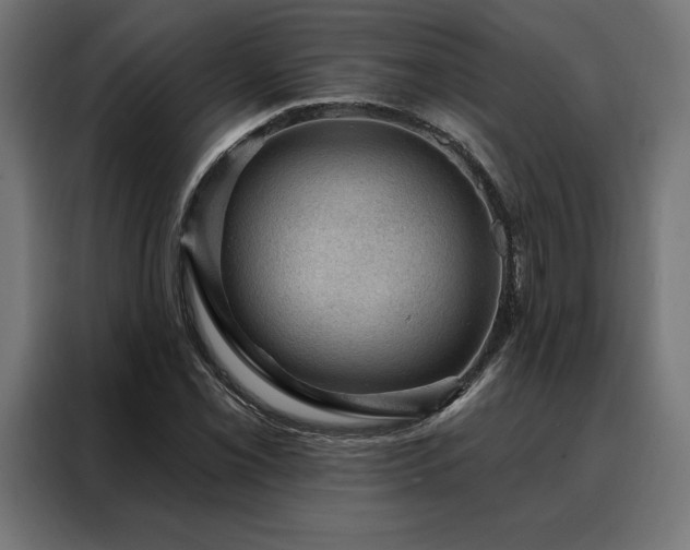 X0000088161069200705221556