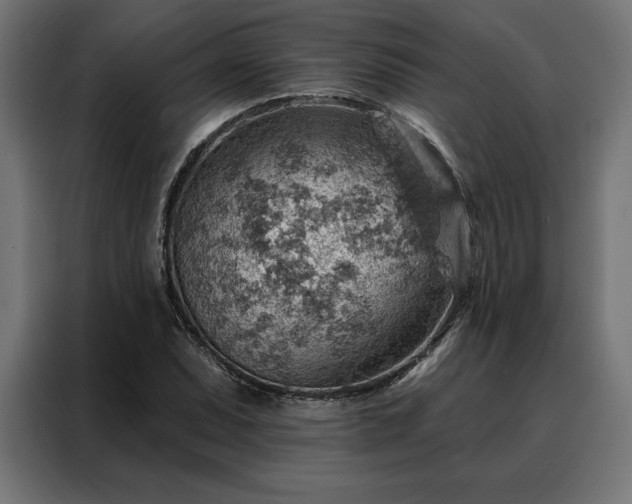 X0000088161071200705221556