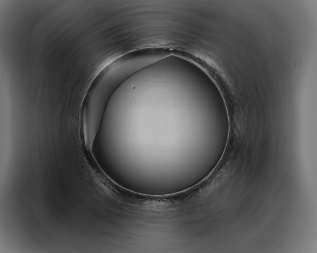 X0000088161073200705221556