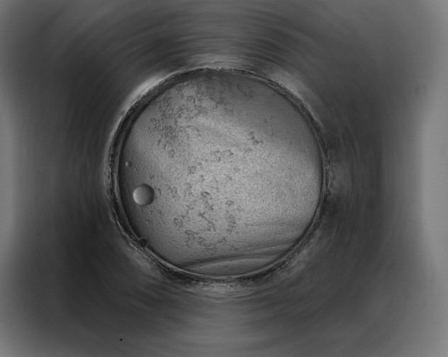 X0000088161074200705221556