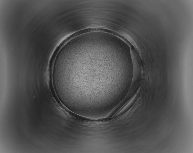 X0000088161076200705221556
