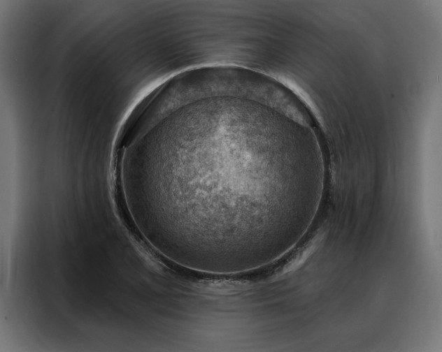 X0000088161077200705221556