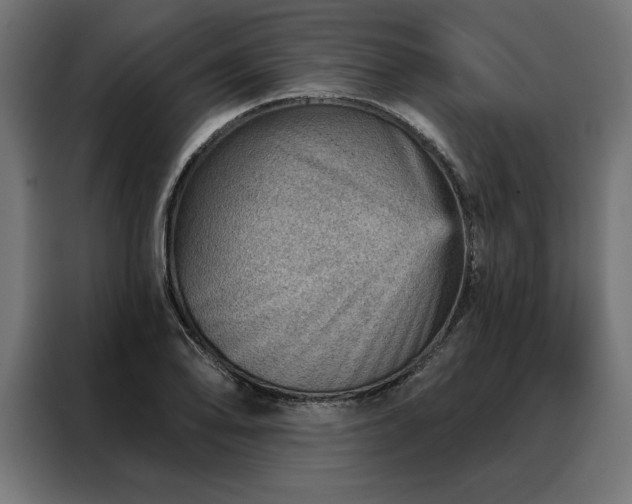 X0000088161078200705221556