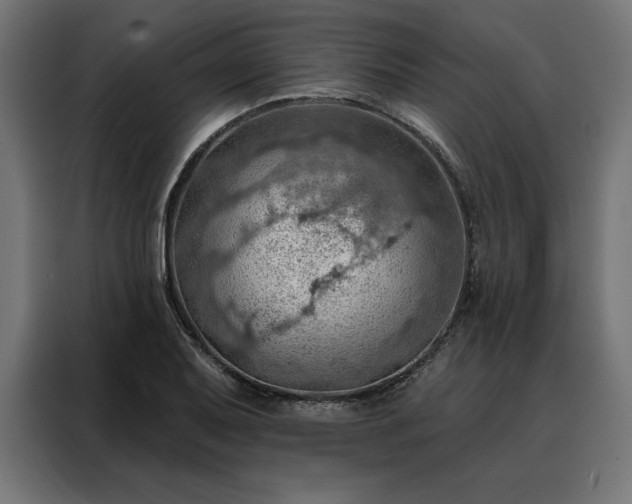X0000088161079200705221556