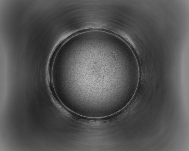 X0000088161080200705221556