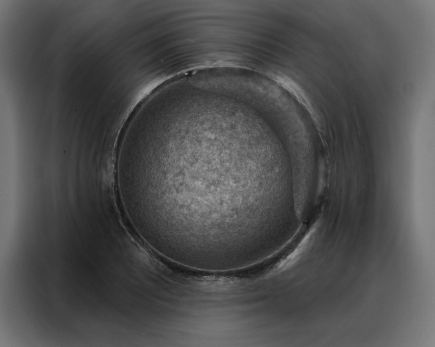 X0000088161081200705221556