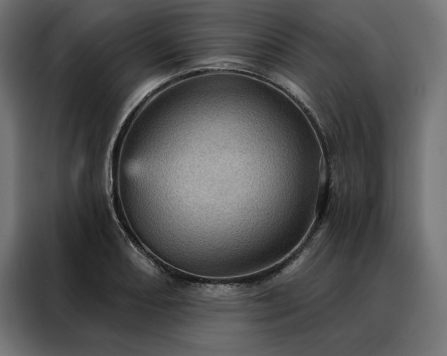 X0000088161082200705221556
