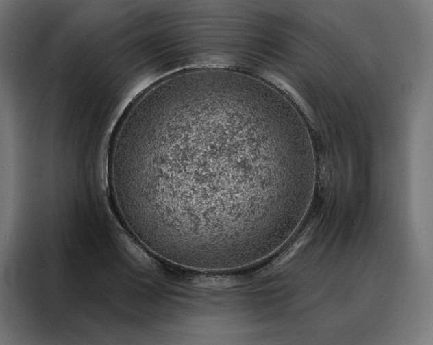 X0000088161083200705221556