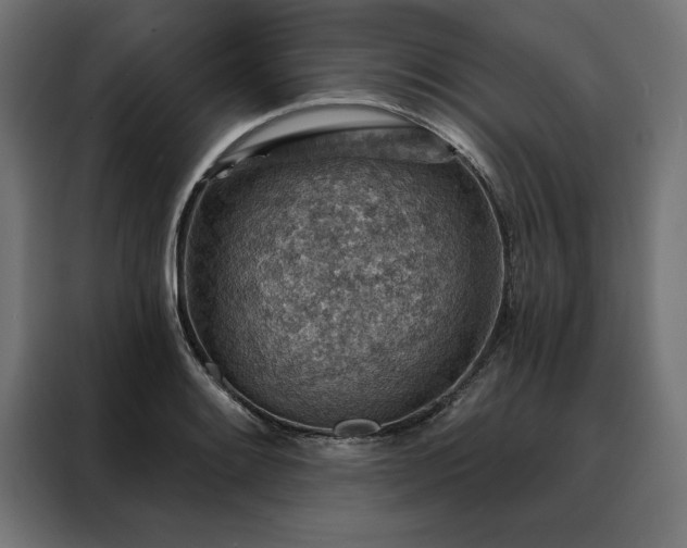 X0000088161084200705221556