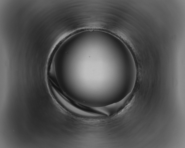 X0000088161085200705221556