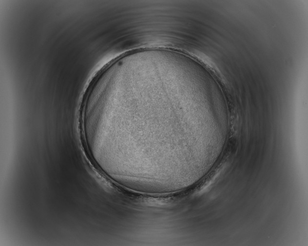 X0000088161086200705221556