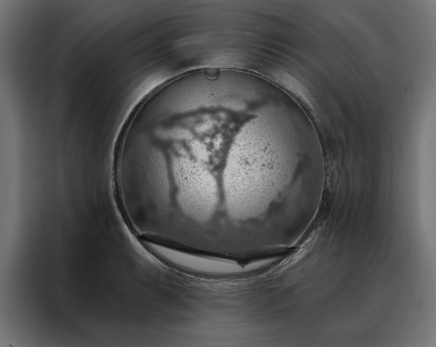 X0000088161087200705221556