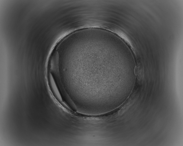 X0000088161088200705221556