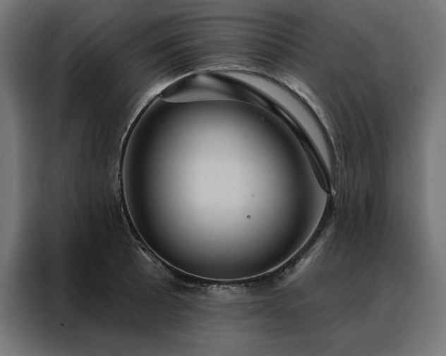 X0000088161089200705221556