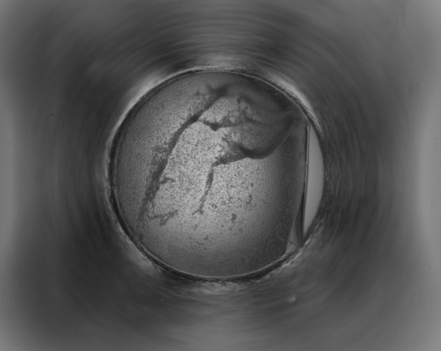 X0000088161091200705221556