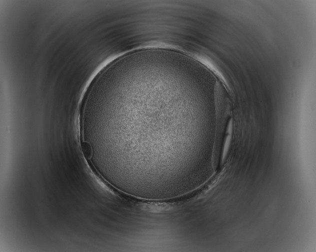 X0000088161092200705221556