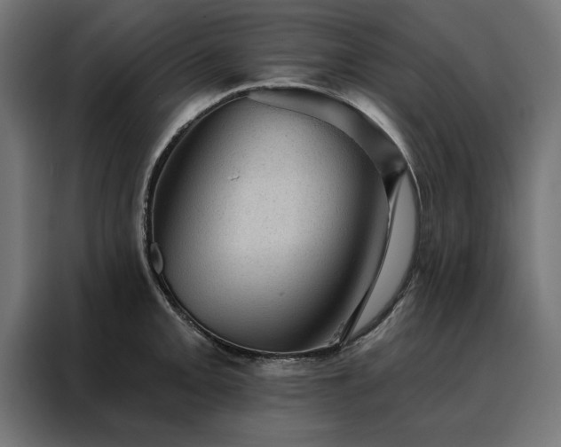 X0000088161093200705221556